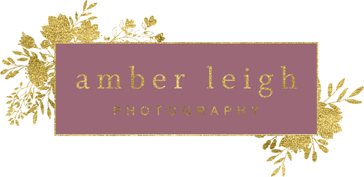 Amber Leigh
                    Photography